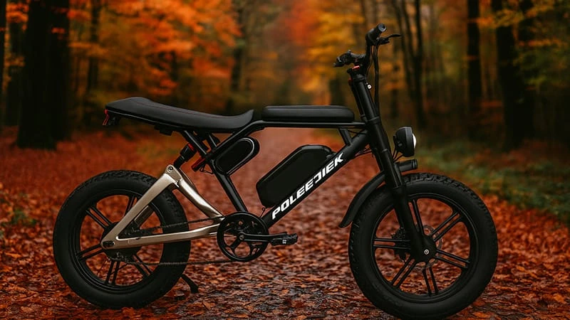 electric dirt bike adult, electric dirt bikes for adults, adult electric dirt bike, Dirt E-Bike, brushless motor